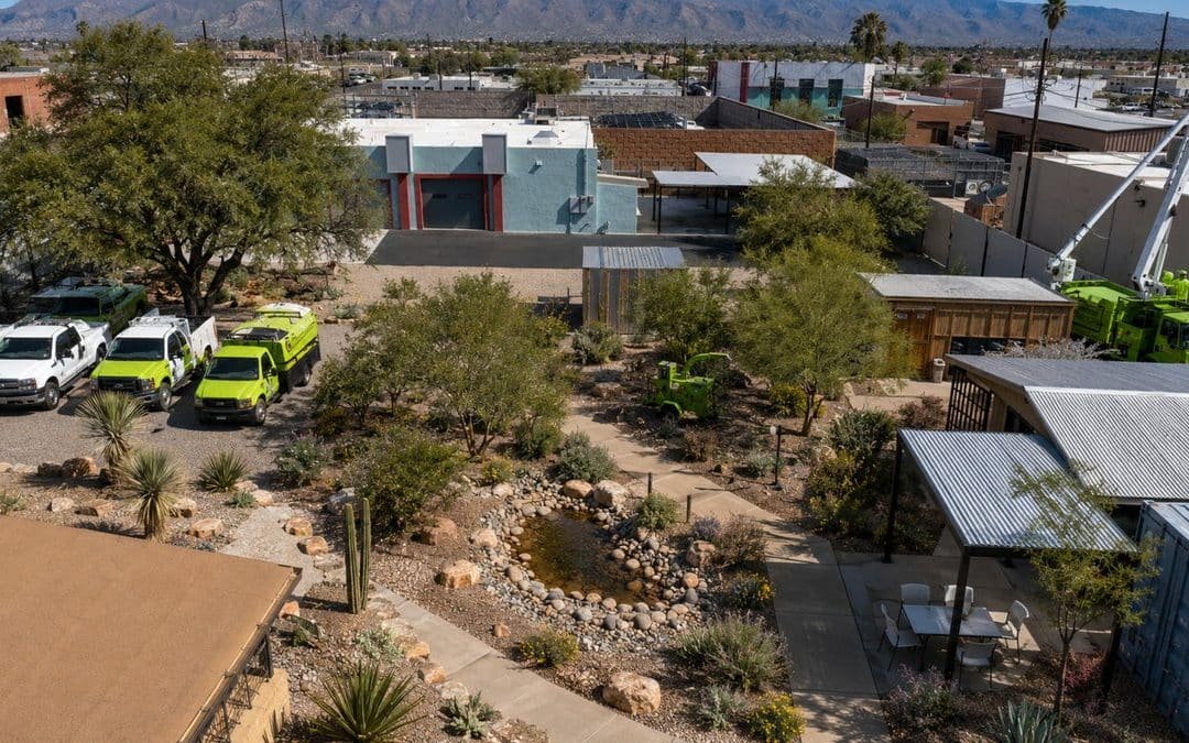 Arizona Water Conservation Trends Affecting Commercial Landscapes
