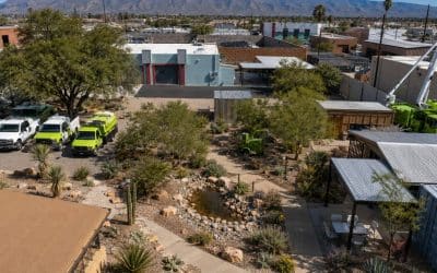 Arizona Water Conservation Trends Affecting Commercial Landscapes