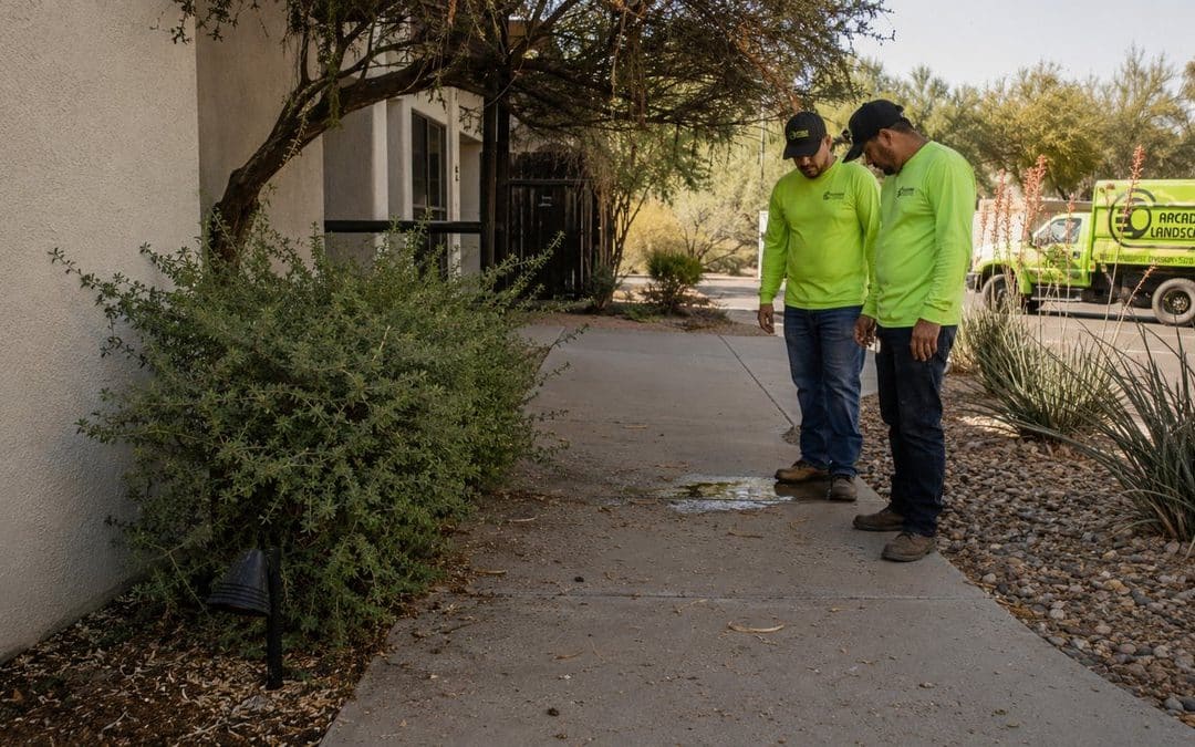 Five Landscape Issues That Generate Tenant Complaints