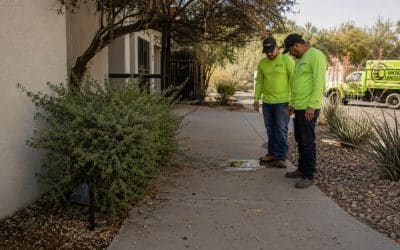 Five Landscape Issues That Generate Tenant Complaints