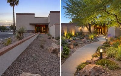 Landscape Improvements That Increase Commercial Property Value