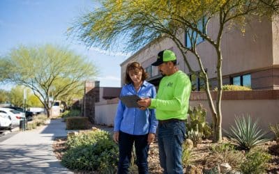 Landscape Inspections Every Property Manager Should Schedule Before Summer