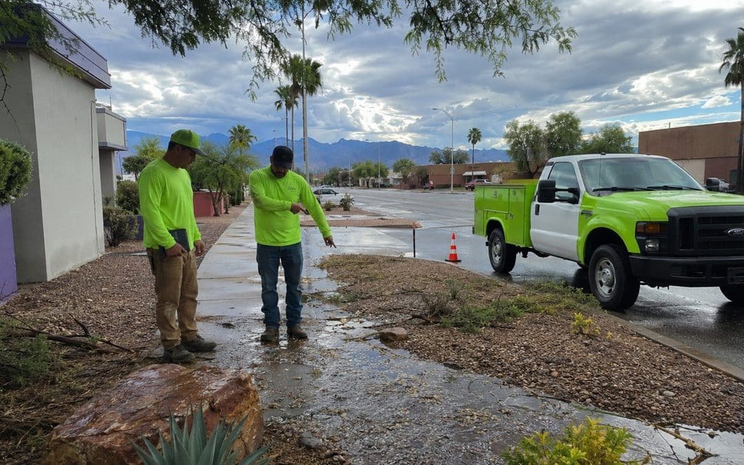 Managing Landscapes During Arizona Monsoon Season