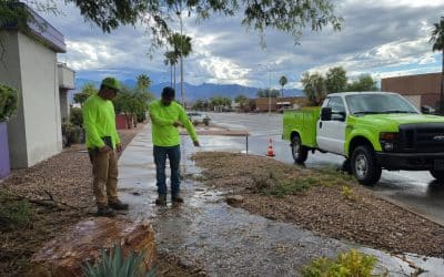 Managing Landscapes During Arizona Monsoon Season