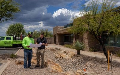 Planning Commercial Landscape Improvements Before Monsoon Season