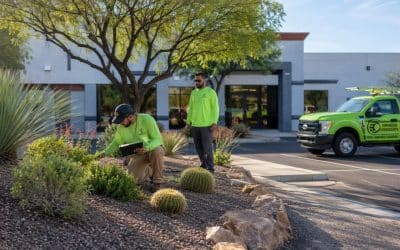 Spring Landscape Maintenance Checklist for Tucson Commercial Properties