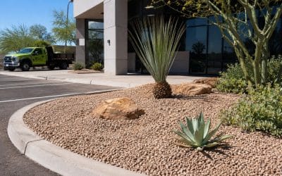 Why Decorative Rock Outlasts Organic Mulch in Southern Arizona